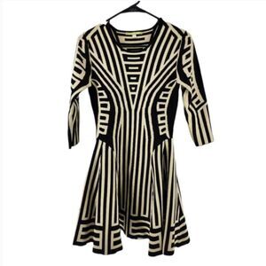 Gianni Bini Women's Geometric Stripes Fit and Flare Dress - M